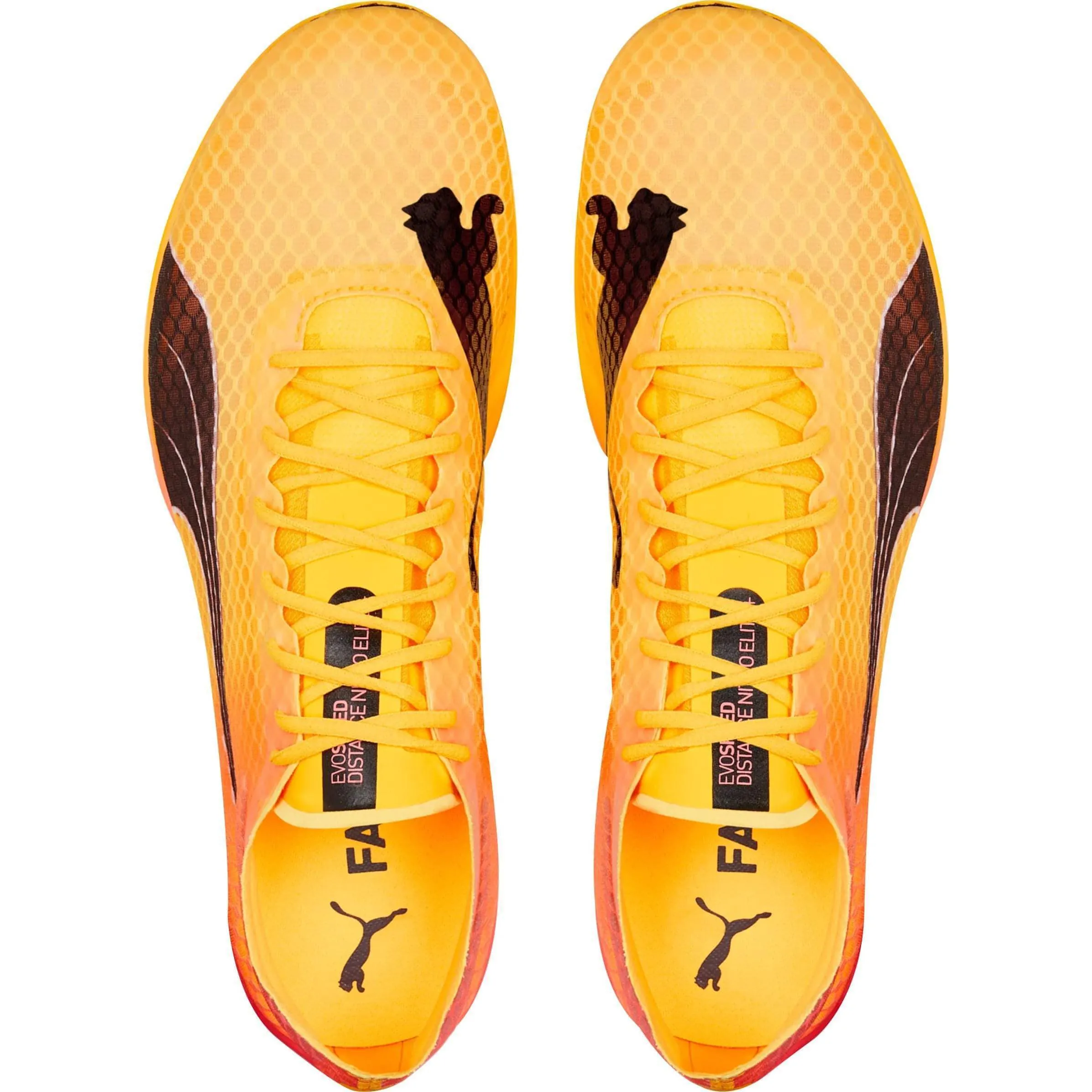 Puma evoSpeed Distance Nitro Elite   2 Running Spikes - Orange